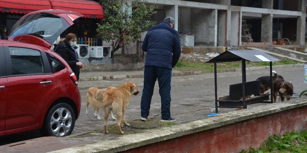 Ordulu Çift Sokak Hayvanlarına Duyarsız Kalmadı