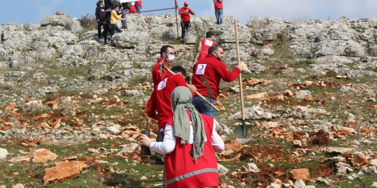 Suriye’de Şehit Olan Kızılay Görevlisi Anısına Hatıra Ormanı Kuruldu