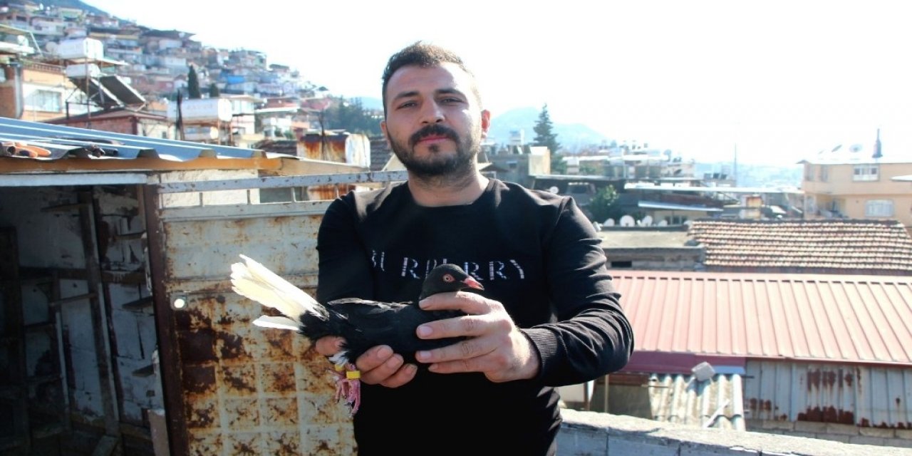 Babadan Miras Güvercin Sevdası