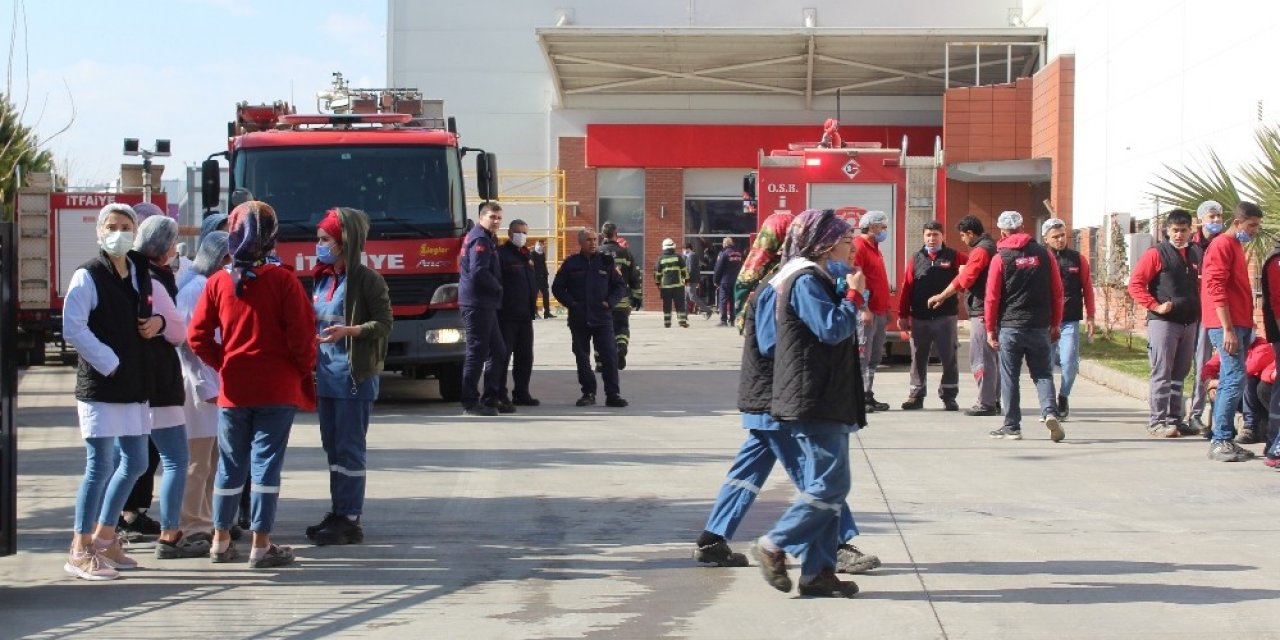 Kuru Yemiş Fabrikasındaki Yangında 17 İşçi Dumandan Etkilendi