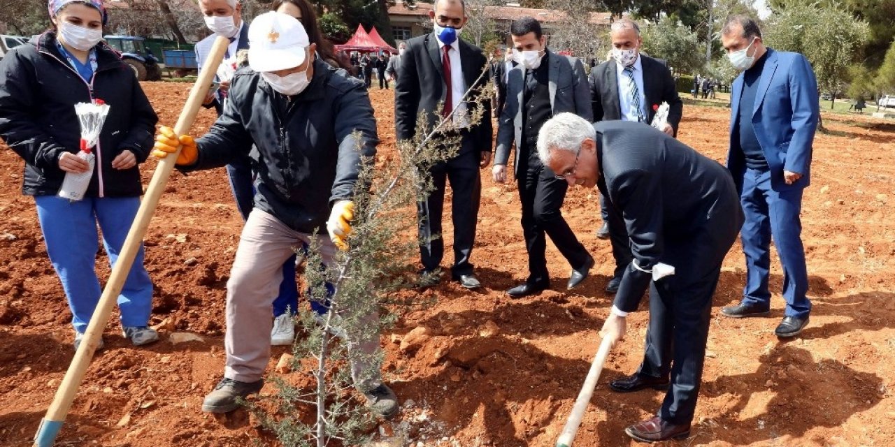 Gaün’den Fidan Dikimi