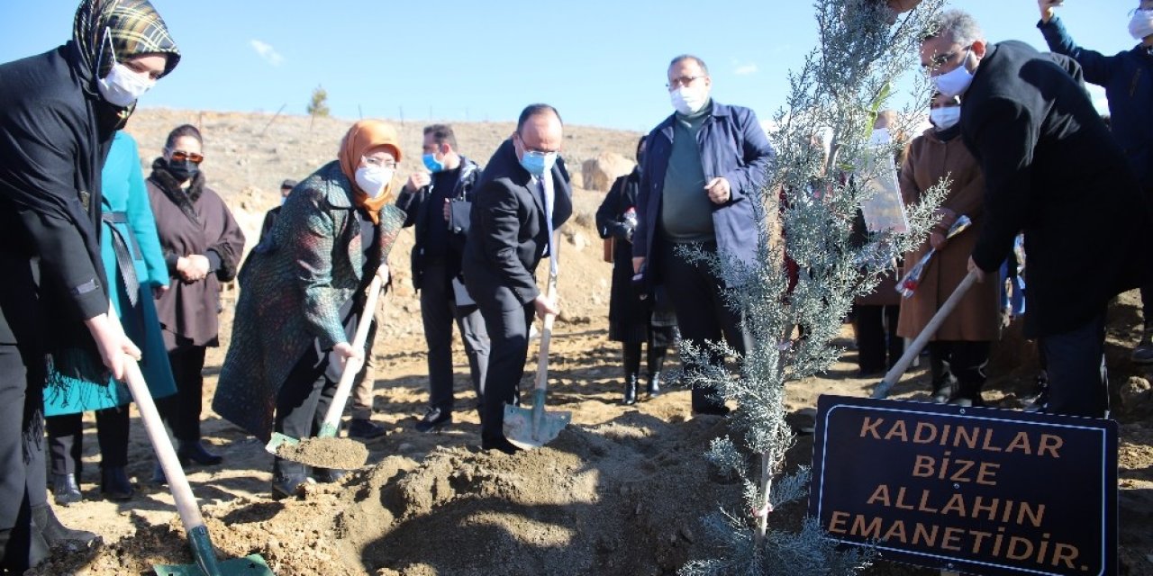 Elazığ’da 11 Şehit Anısına Fidan Dikildi