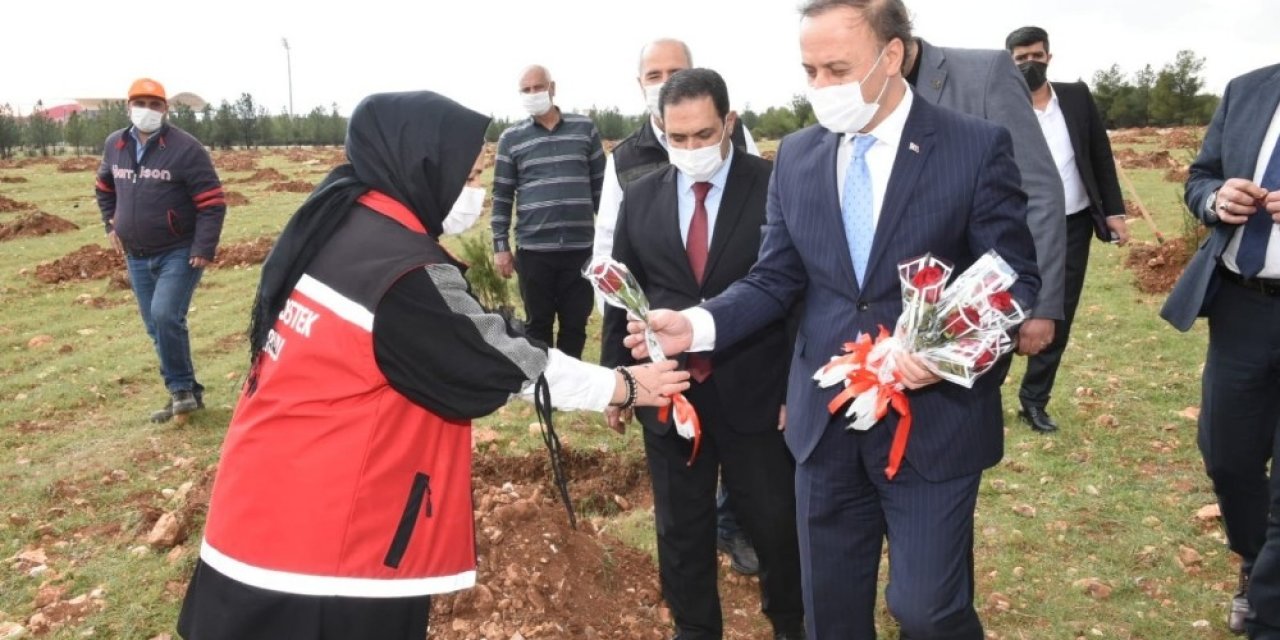 Şanlıurfa’da 8 Mart Ağaçlandırma Etkinliği