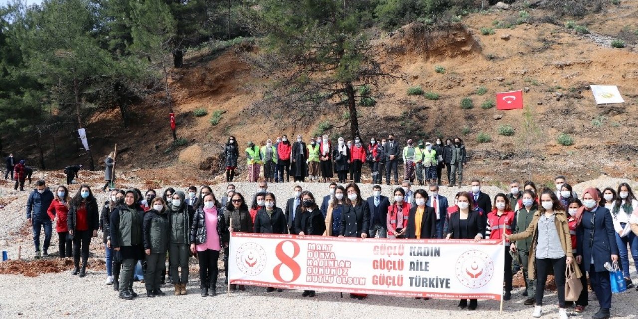 Muğla’da Mercan Hatıra Ormanı