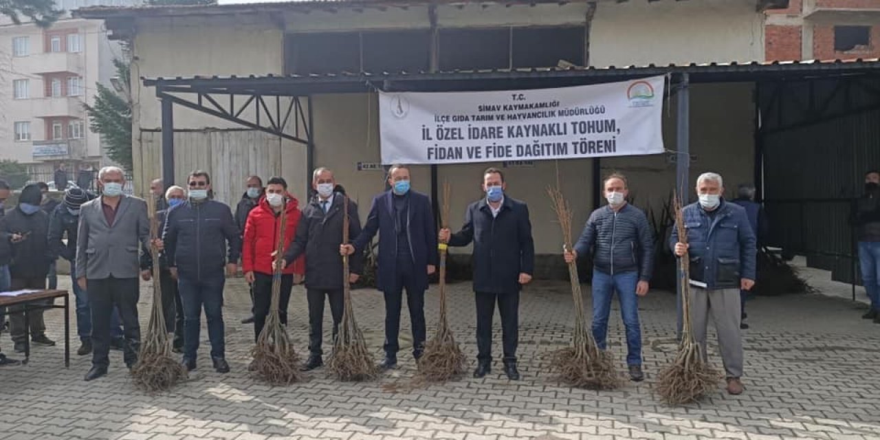 Çiftçiye Bin 300 Adet Ücretsiz Kestane Fidanı