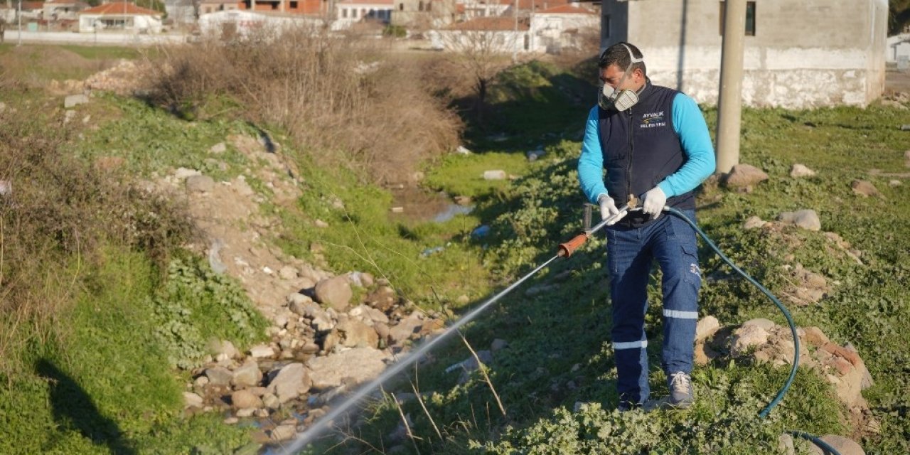 Ayvalık’ta Sivrisinekle 365 Gün Mücadele