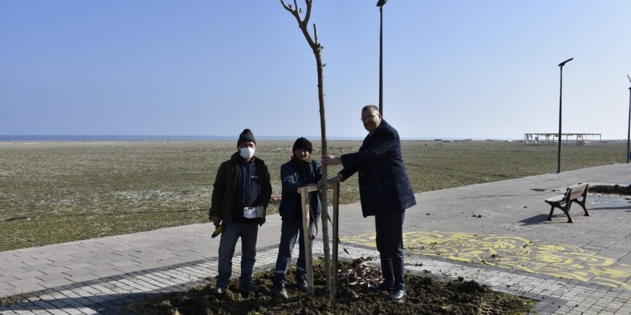 Yeniköy Sahil Yoluna ‘yeşil’ Dokunuş