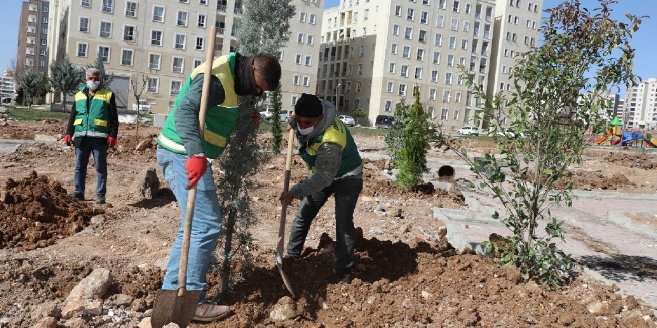 Seyrantepe Yeni Parklarla Yeşilleniyor