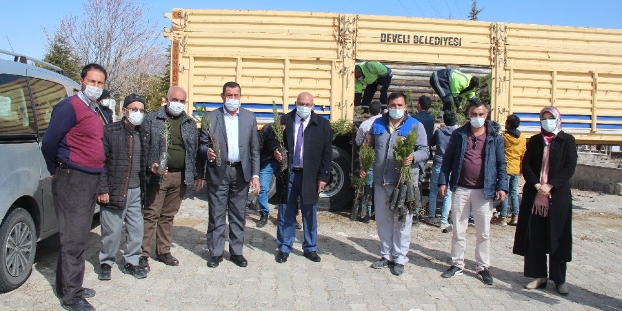 Develi’de 30 Bin Fidan Dağıtıldı