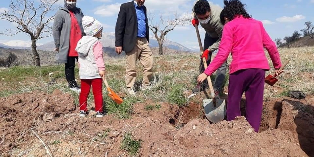 Köylüler Kendi İmkanlarıyla Ağaç Dikti