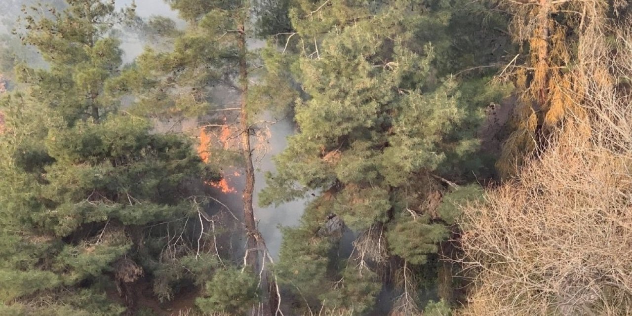 Kış Mevsiminde Orman Yangını Paniğe Neden Oldu
