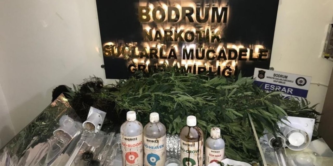 Ev Uyuşturucu Tarlası Çıktı