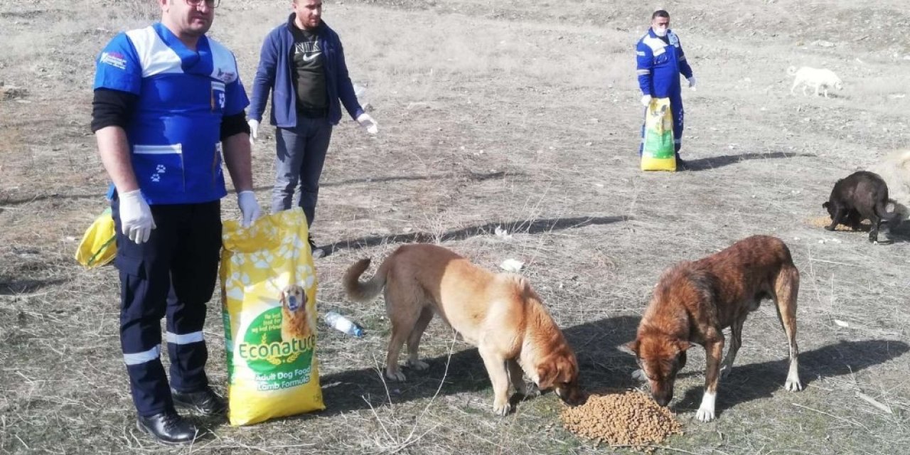Belediye Ekipleri Can Dostları Kendi Elleriyle Besledi
