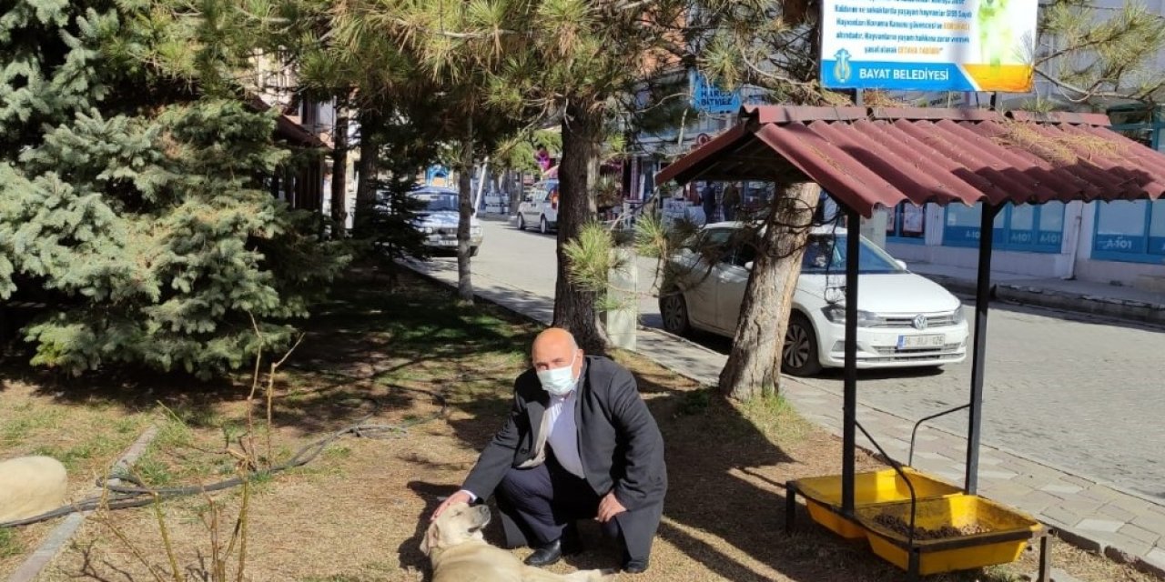 Bayat Belediyesi Sokak Hayvanlarını Unutmadı