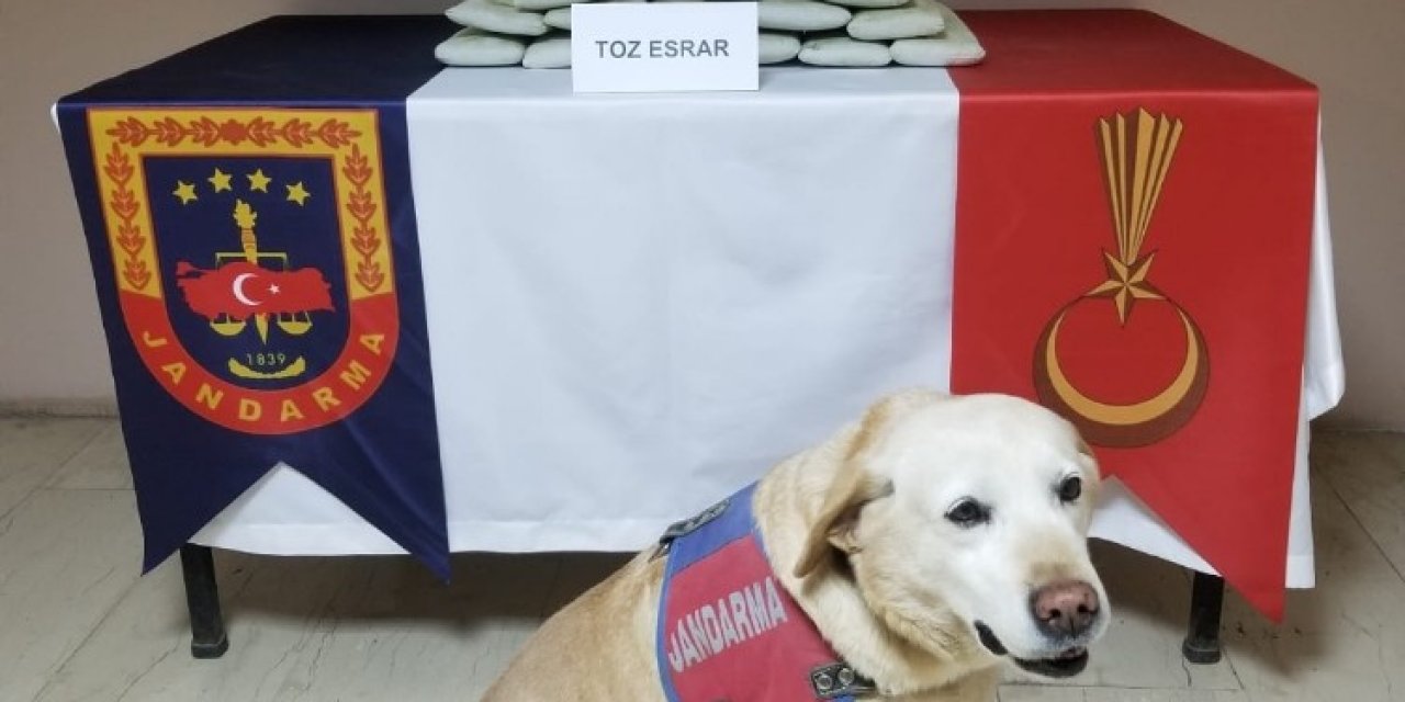 Batman’da Kullanıma Hazır 8 Kilo 600 Gram Toz Esrar Yakalandı