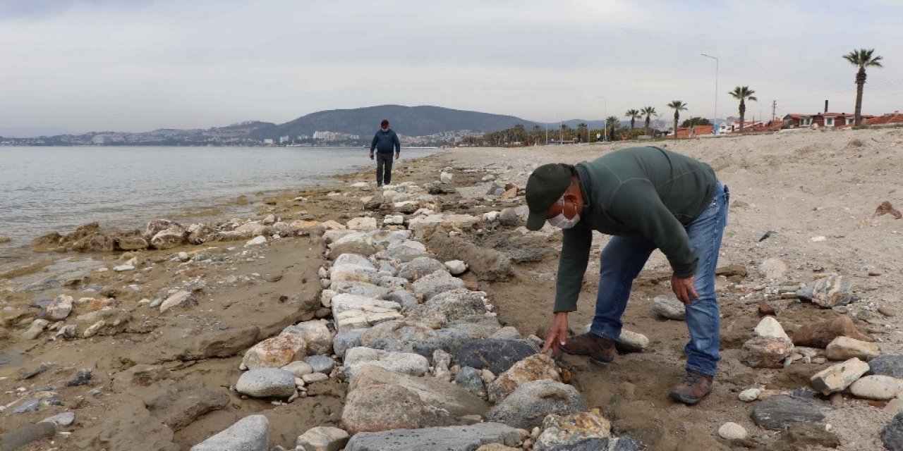 Sular Çekildi, Tarih Ortaya Çıktı