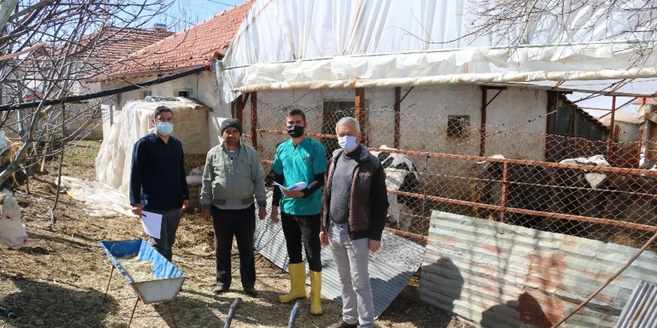 Besicilere Destek İçin Saha Calışması