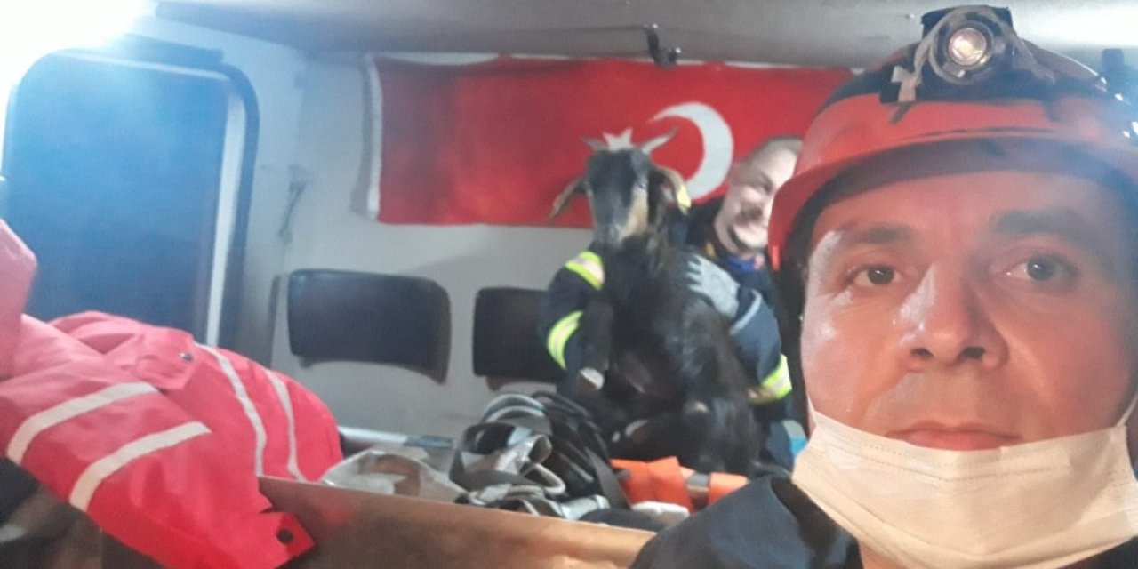 Kayalıklarda Mahsur Kalan 5 Keçiyi İtfaiye Kurtardı