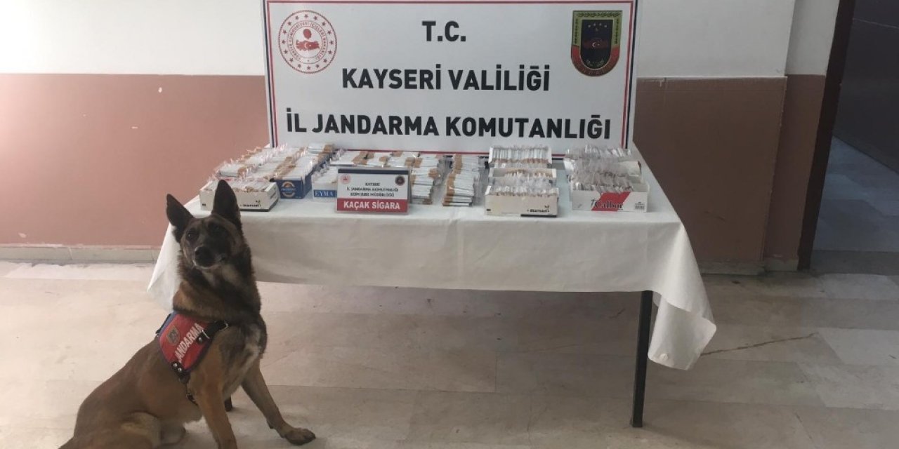 Jandarma 244 Personelle 400 Noktada ‘narkotik Ve Huzurlu Sokakları’ Uygulaması Yaptı