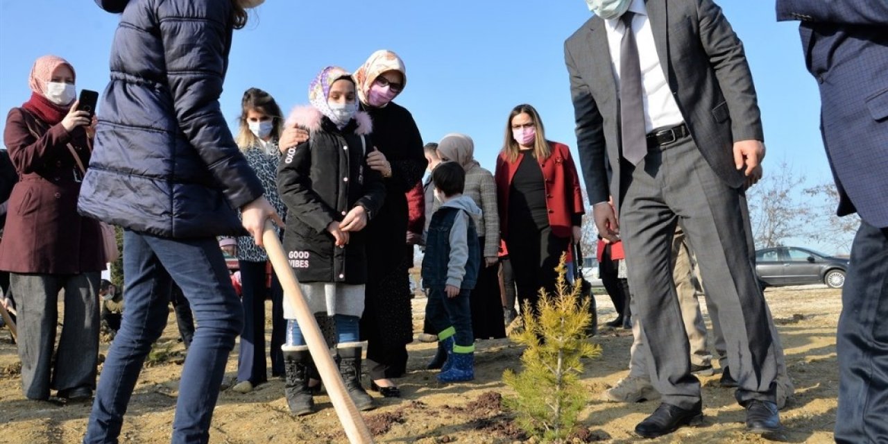 Mercan Hatıra Ormanı Oluşturuldu