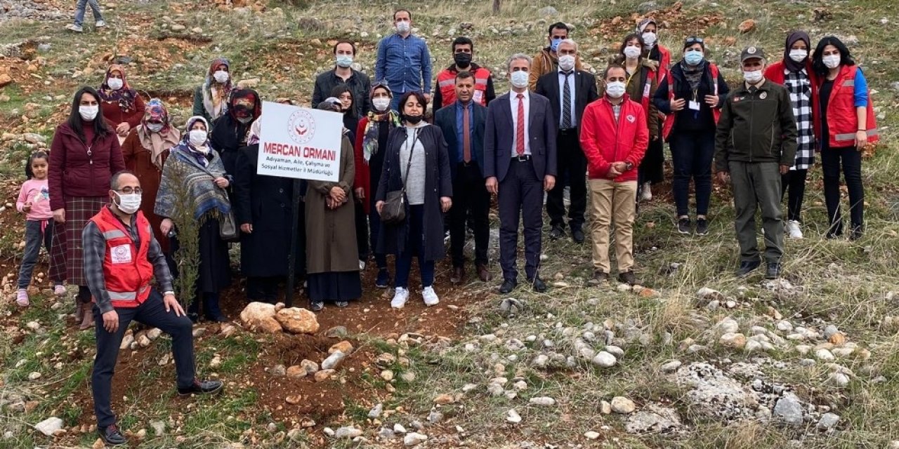 Adıyaman’da Mercan Hatıra Ormanı Oluşturuldu
