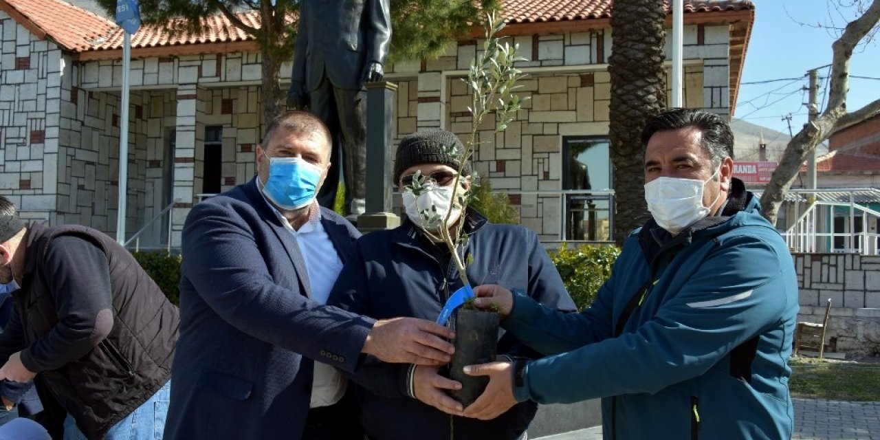 Aliağa’da 684 Üreticiye 17 Bin 100 Adet Zeytin Fidanı Dağıtıldı