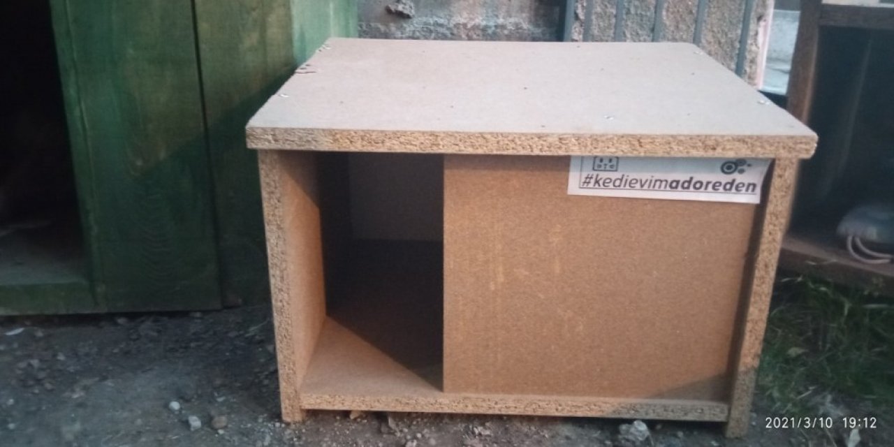 Kedi Evlerini Hayvanseverlere Hediye Etti