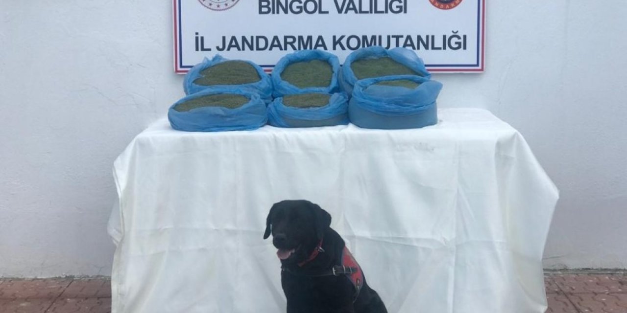 Bingöl’de 58 Kilo Uyuşturucu Ele Geçirildi, 22 Şüpheli Hakkında İşlem Yapıldı