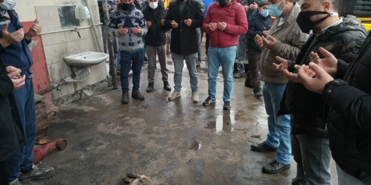 Yeni Alınan Araçlar İçin Kurban Kesildi