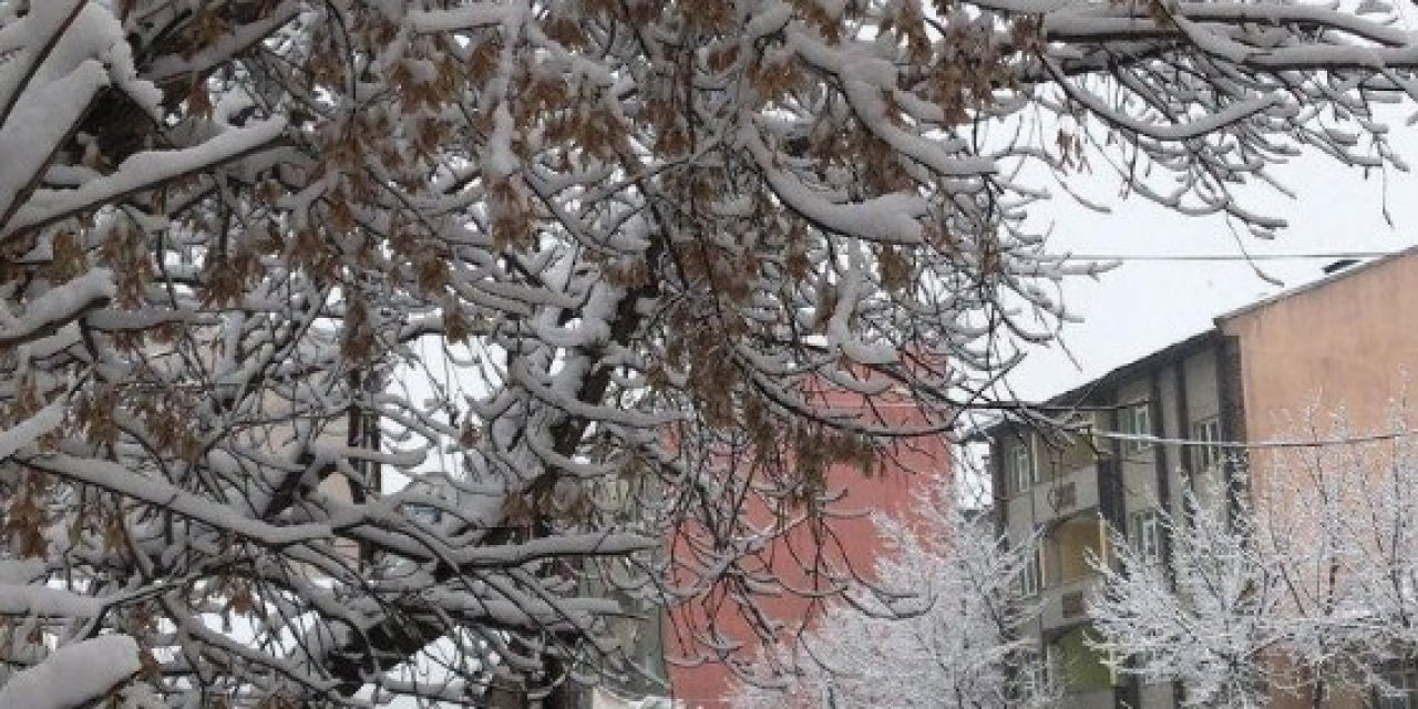 Ağrı’da Kar Yağışı Kenti Etkisi Altına Aldı