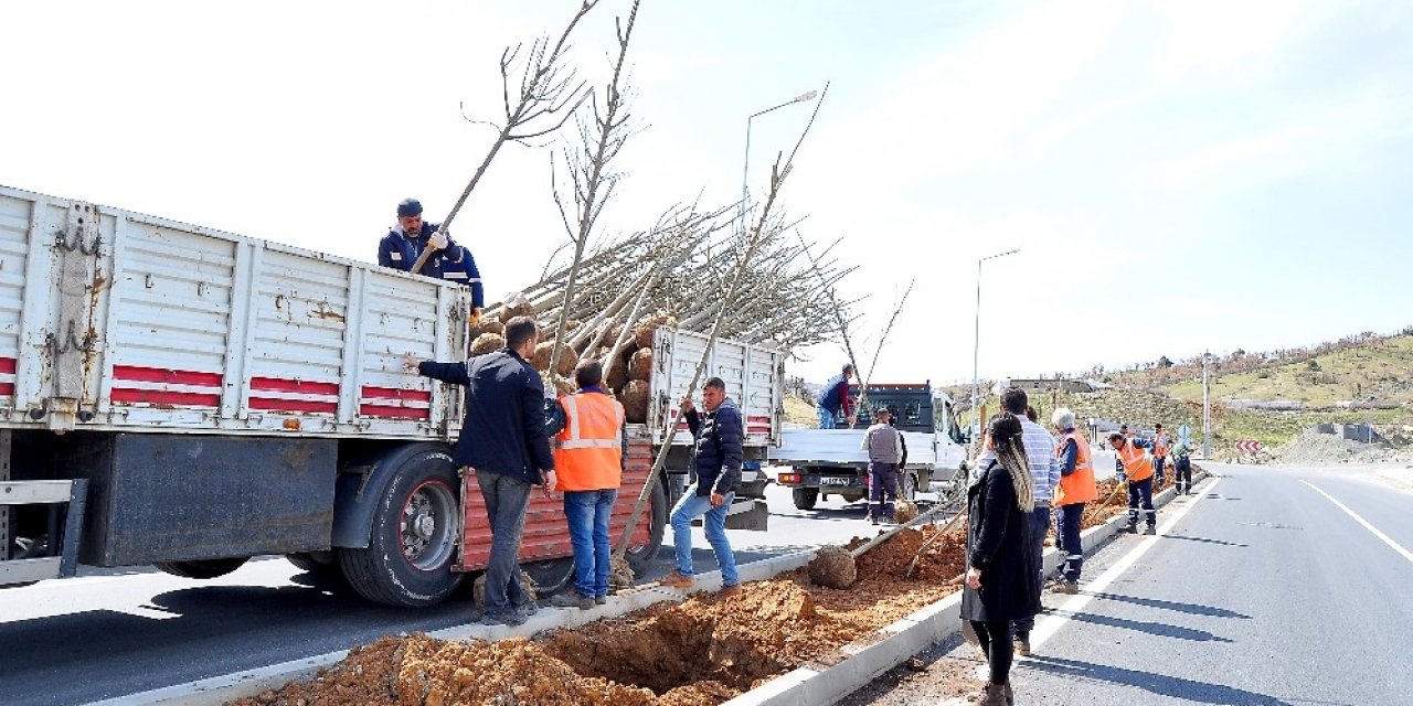 Diyarbakır’ın İlçeleri Yeşilleniyor