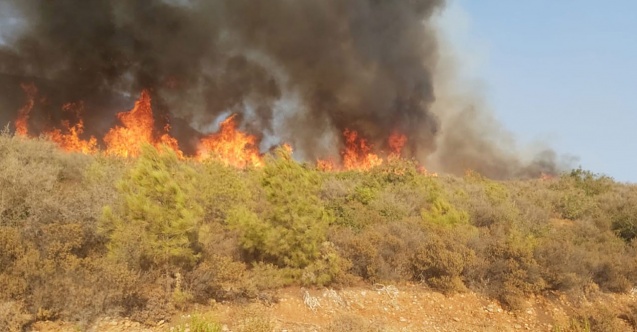 Kahramanmaraş’ta orman yangını