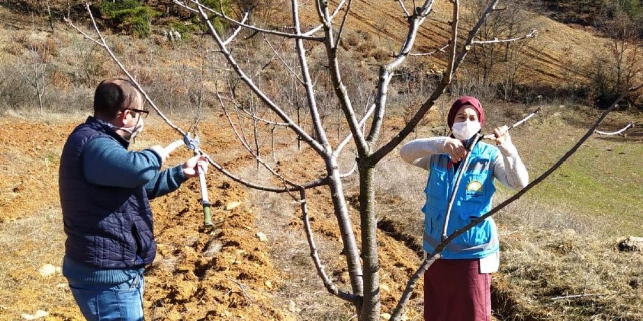 Hisarcık’ta Çiftçilere Budama Teknikleri Öğretiliyor