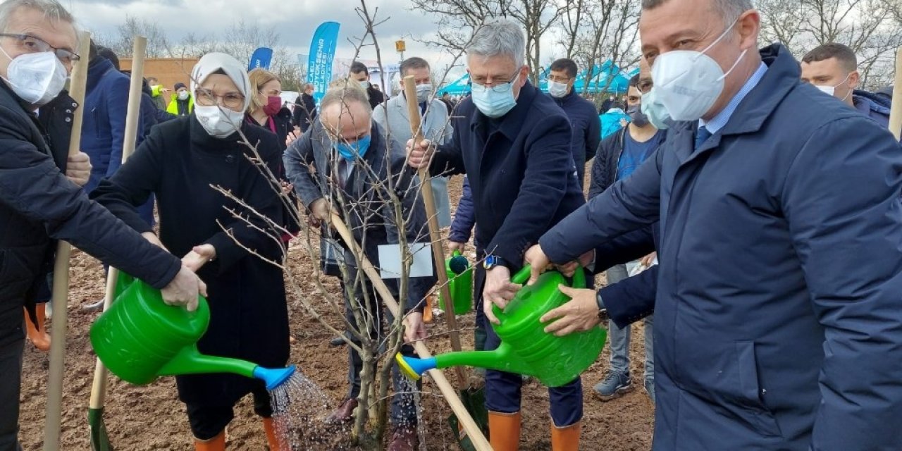 Sağlık Çalışanlarının 2 Bin 500 Fidanlı Meyve Ağacı Ormanı Oldu