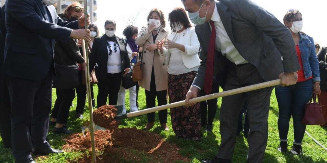 Mimozalar Yenişehir’de Toprakla Buluştu