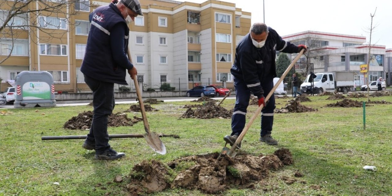 Hayatını Kaybeden Sağlıkçılar İçin Fidan Dikildi