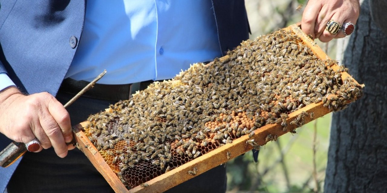 Arılar Çiçekle Buluştu, Yetiştiriciyi İlaçlama Korkusu Sardı