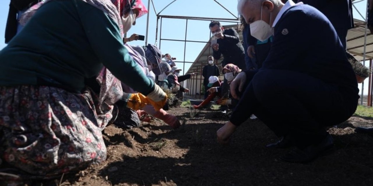 Binali Yıldırım, Önce Lavanta Dikti Ardından 4 Leylek Ve 1 Şahini Doğal Yaşam Alanına Bıraktı
