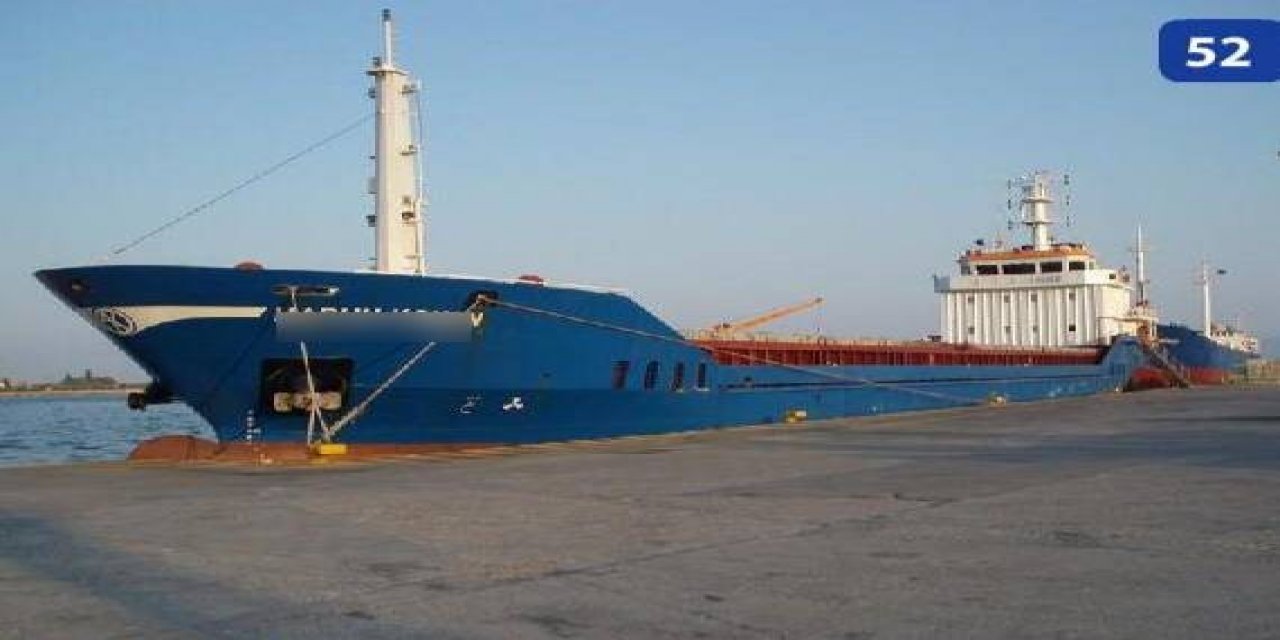 Gemlik Körfezi’ndeki Kirliliğin Sebebi Belirlendi