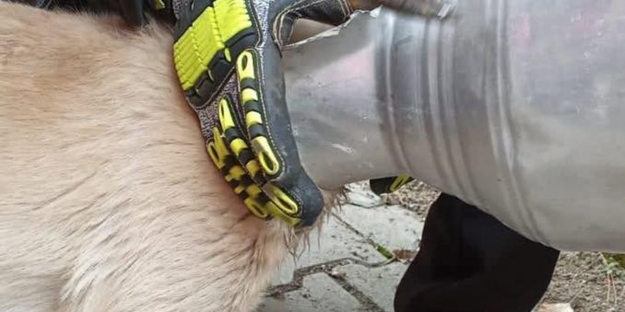 Kafası Güğüme Sıkışan Köpeği İtfaiye Ekipleri Kurtardı