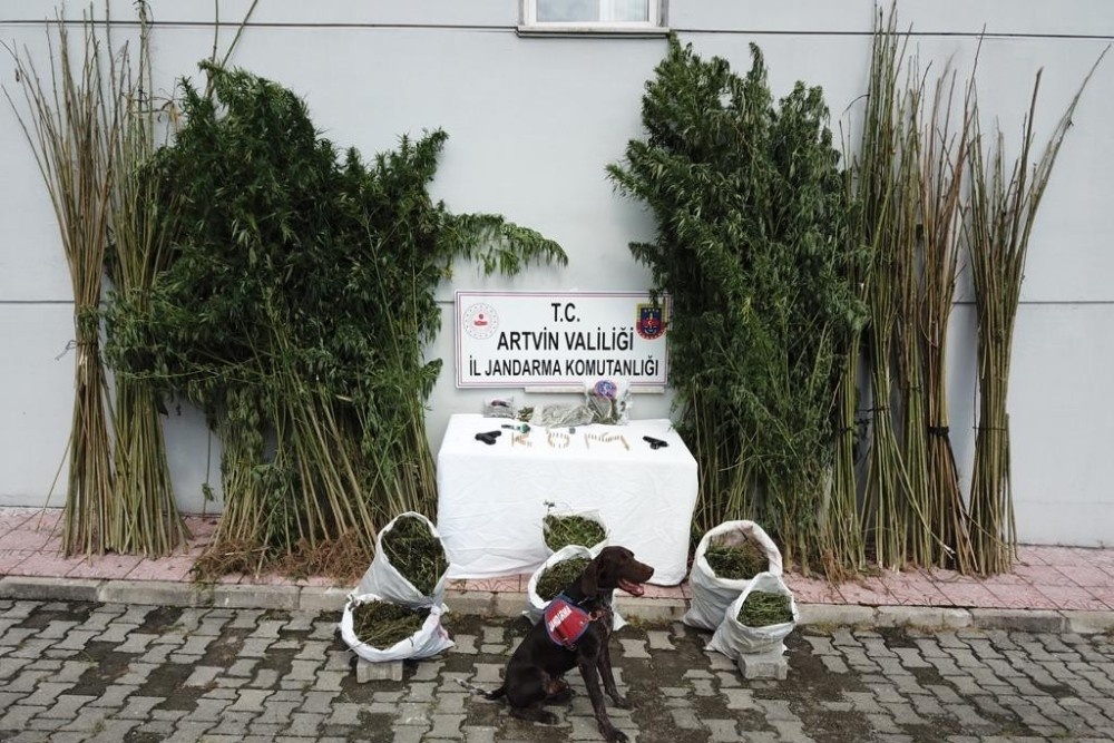 Uyuşturucu köpeği “Sakıt” suçlulara göz açtırmıyor