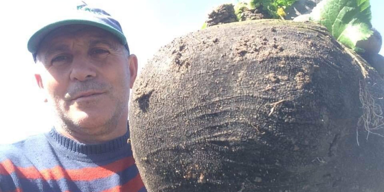 6.5 Kiloluk Turp Görenleri Hayrete Düşürüyor