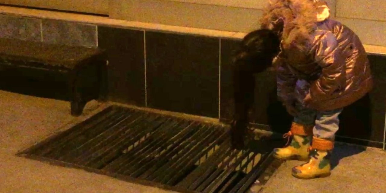 Pencere Boşluğunda Mahsur Kalan Yavru Kedi Kurtarıldı