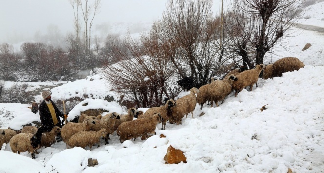 Bayburt’un yüksek kesimlerine kar yağdı