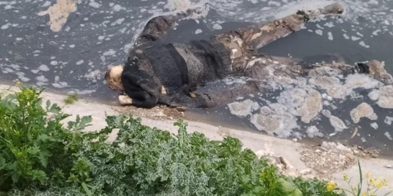 Mersin’de Su Kanalında Erkek Cesedi Bulundu