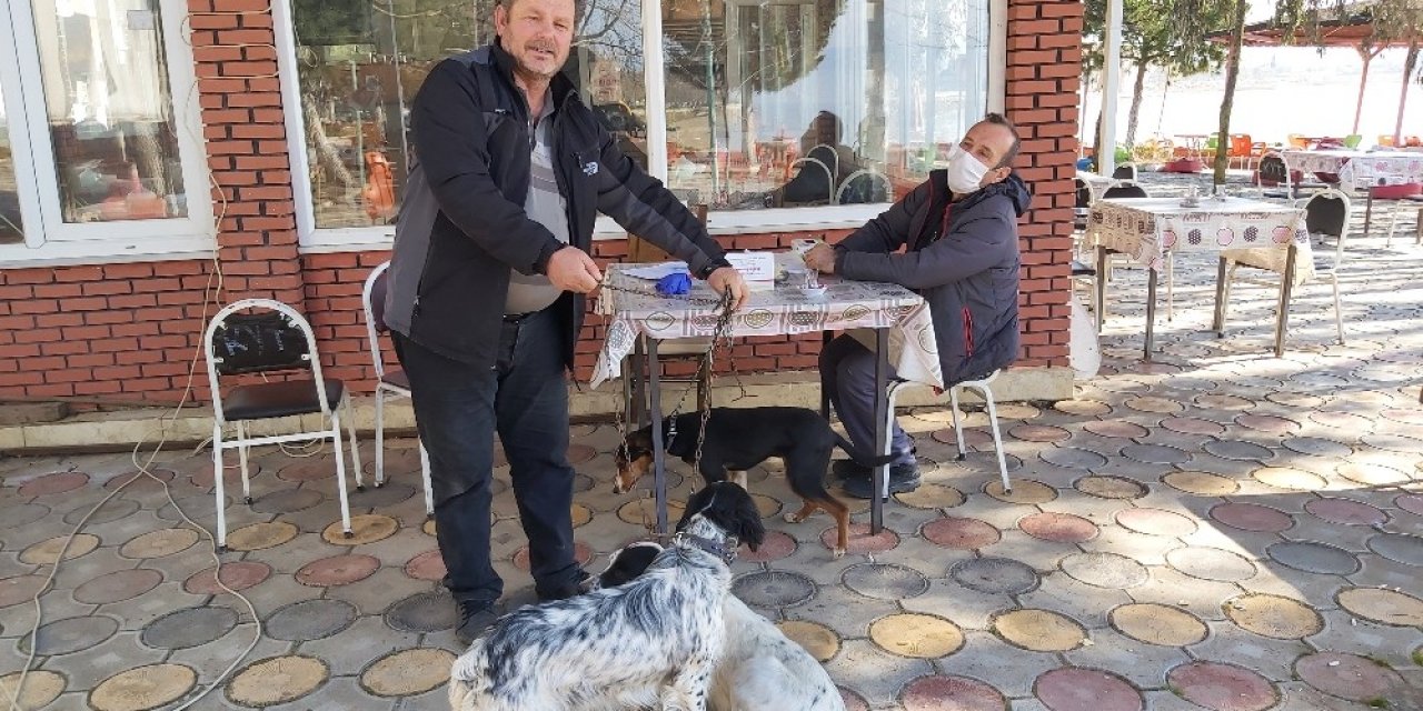 İ̇znik’te Köpeklere Kuduz Aşısı