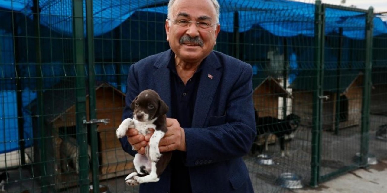 Ordu’da Can Dostlar İçin Modern Hastane