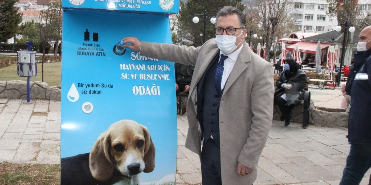 Bu Projeyle Hem Hayvanlar Beslenecek Hem Çevre Kirliliği Önlenecek
