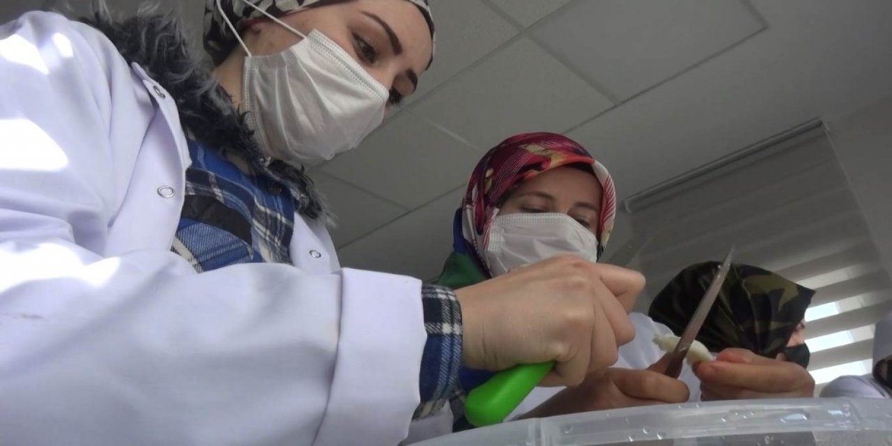 Bu Merkez Kadınlara Umut Oluyor