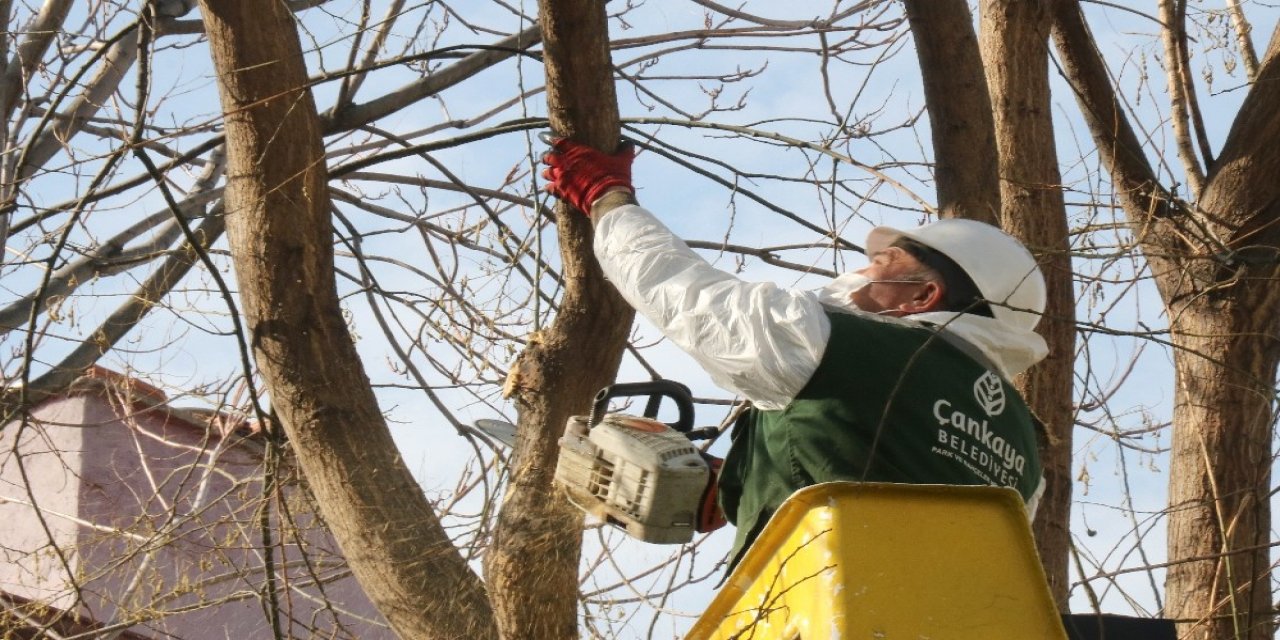 Çankaya’da Martın Sonu Bahar